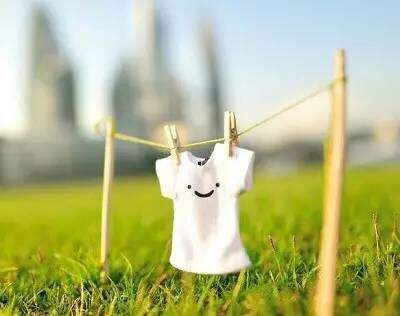 2019年专业技术人员资格考试计划及有关事项的通知